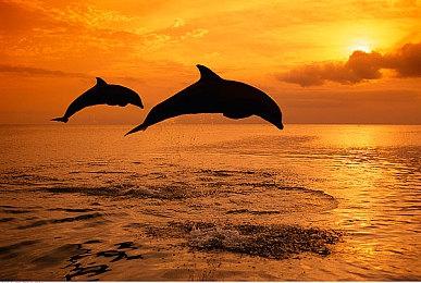 曝《上古卷轴4》重制版将在6月前推出 真令人兴奋