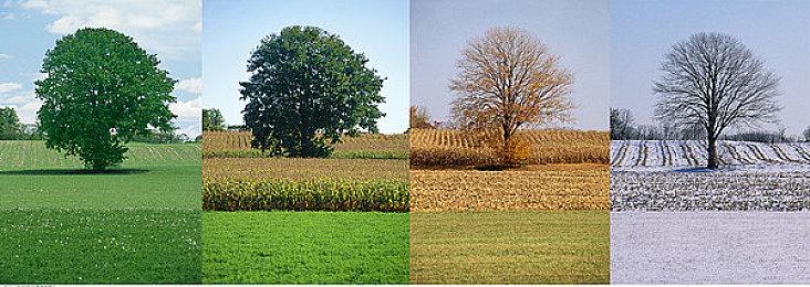 小岛秀夫庆生61岁生日 转发《黑神话》销量过千万贺图